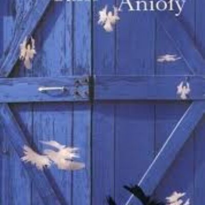 „Tam, gdzie spadają anioły” Dorota Terakowska