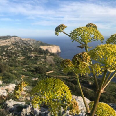 Malta 2019- cisza wyspy