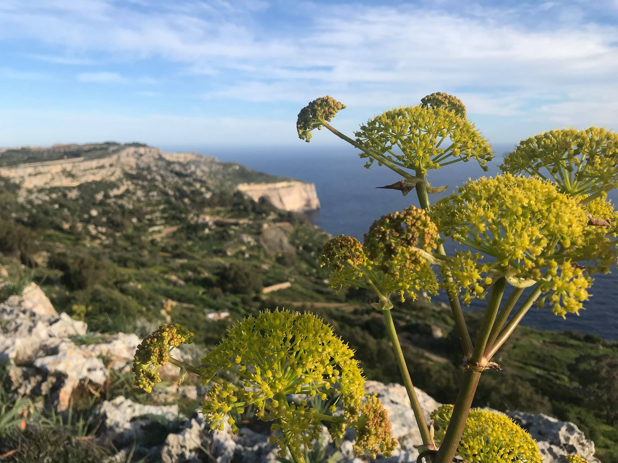 Read more about the article Malta 2019- cisza wyspy