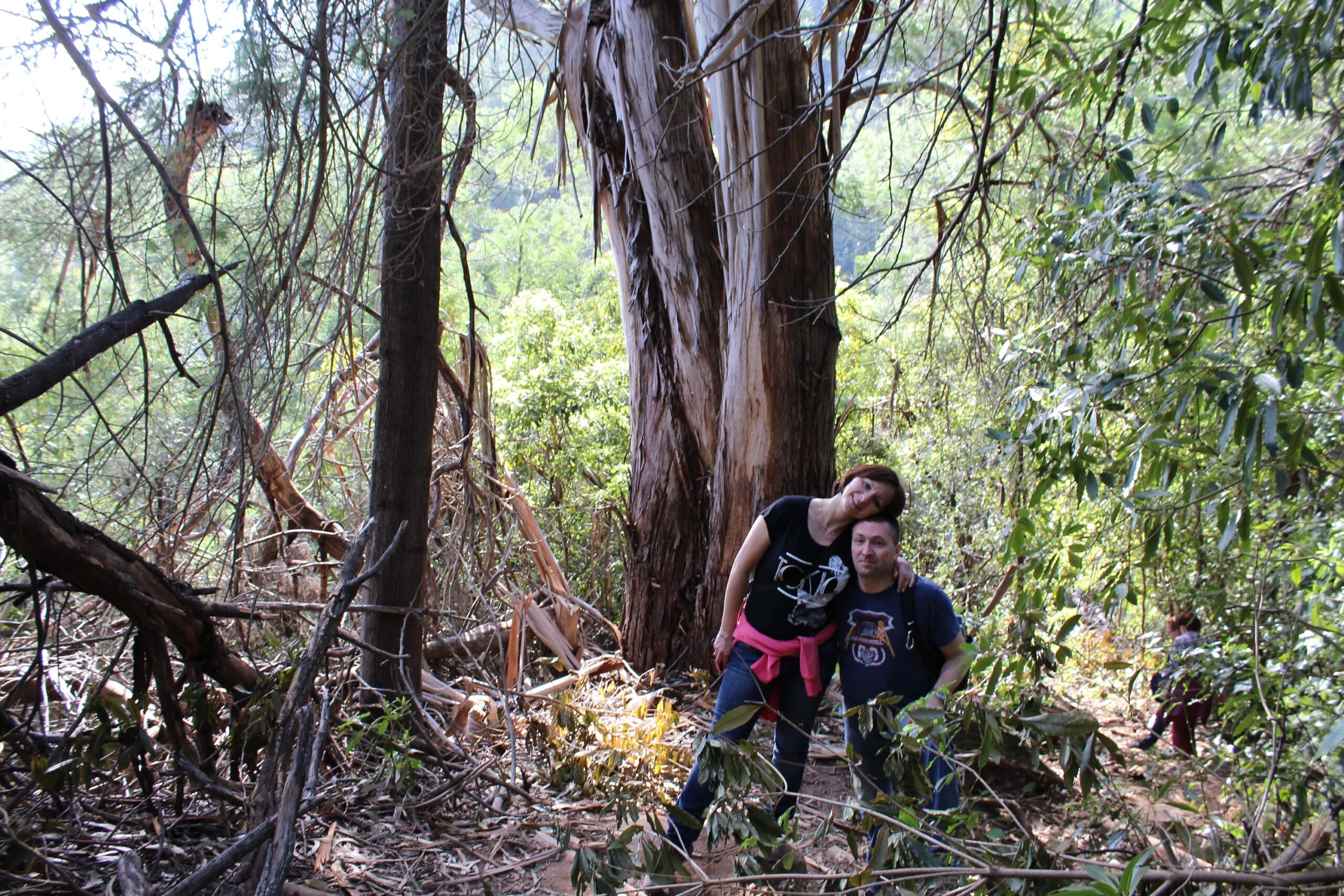 Read more about the article Madera 2015- na lewady!!!