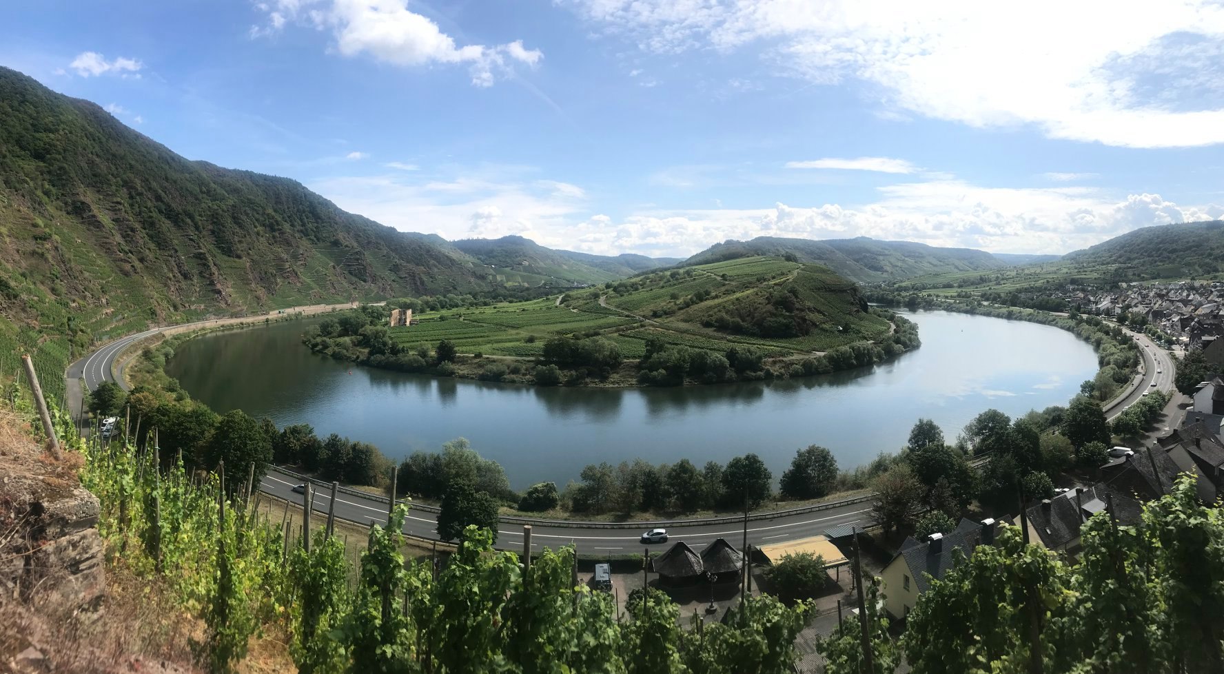 Read more about the article Mozelskie wakacje 2019- wspinaczka po winnicach