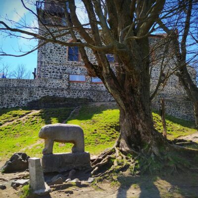 Wrocław 2021- Ślęża- czyli rzecz o misiu, kwiecie paproci i totalnym braku kondycji:)