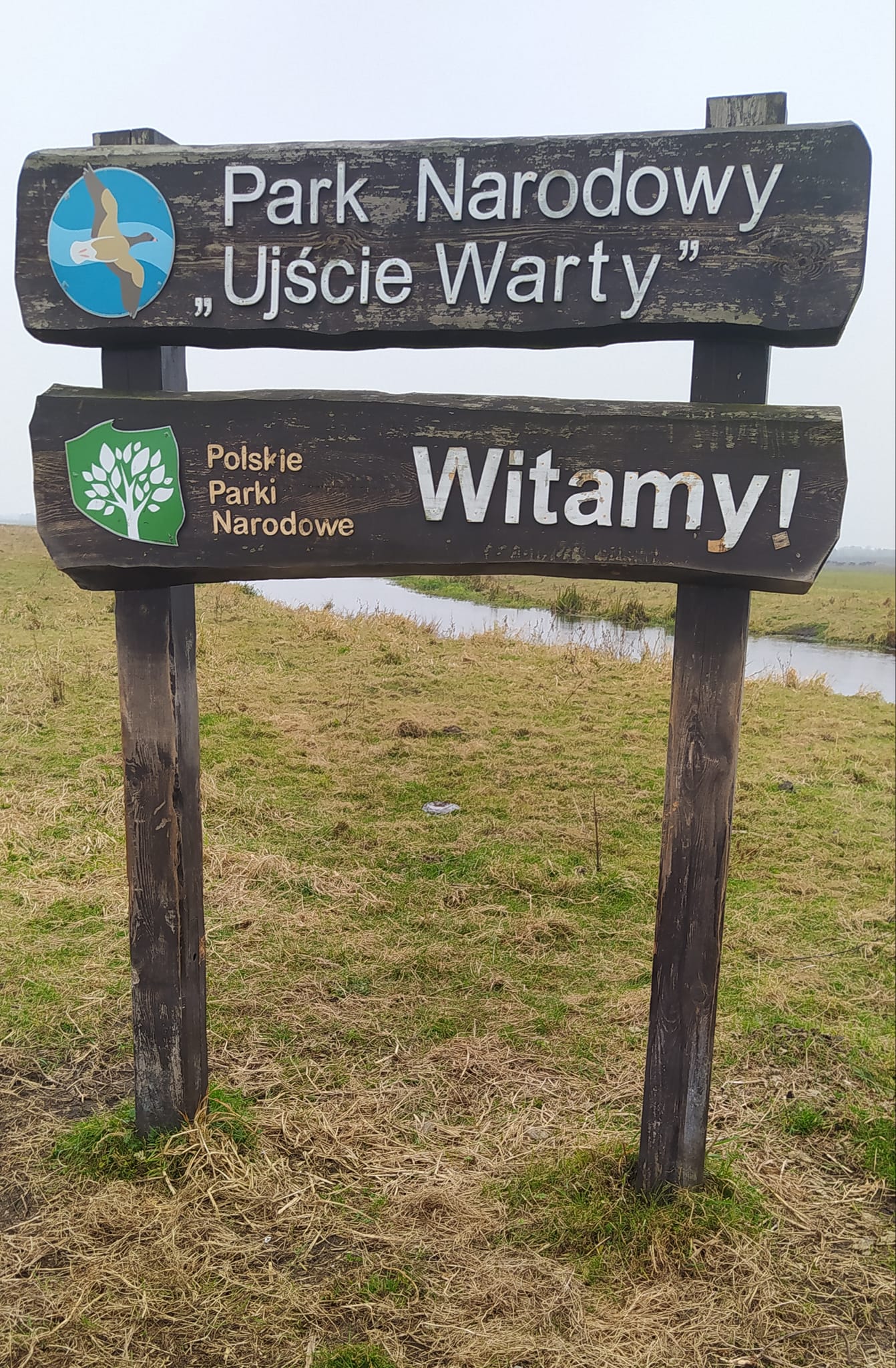 Read more about the article Park Narodowy „Ujście Warty”
