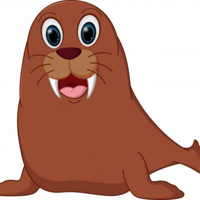 NIEMOŻLIWE NIE ISTNIEJE, czyli jak morsem zostałam