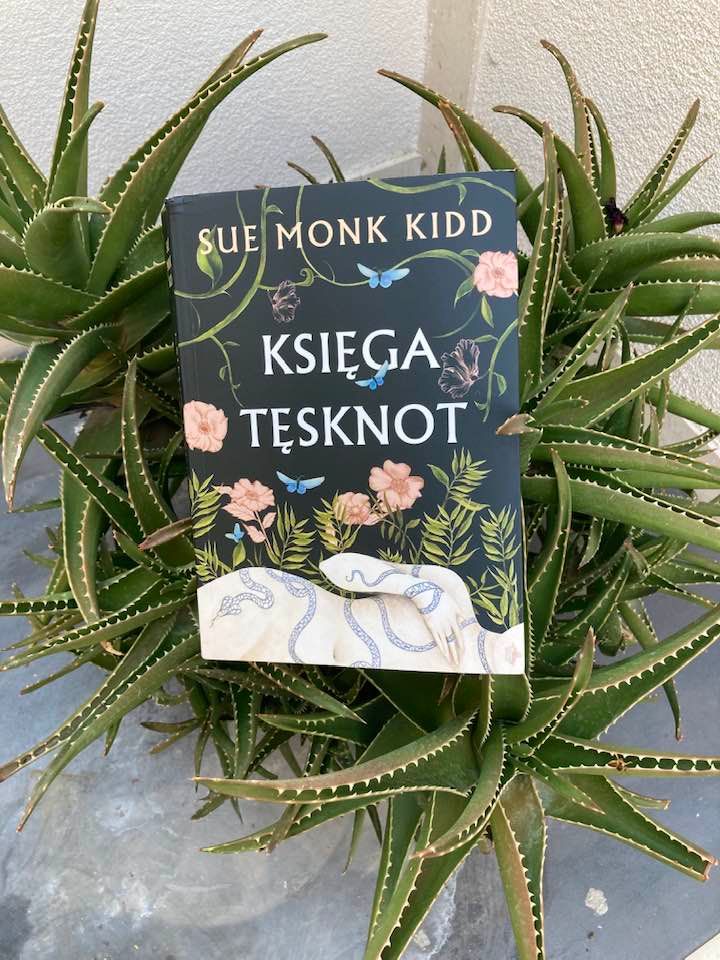 Read more about the article „Księga tęsknot” Sue Monk Kidd